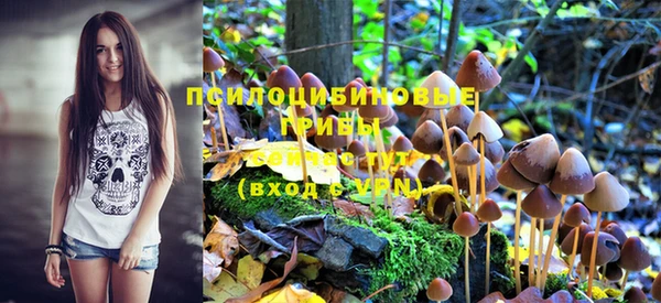 PSILOCYBIN Арсеньев