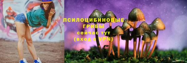 a pvp Аркадак