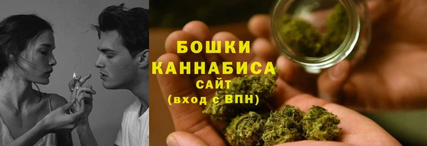 a pvp Аркадак