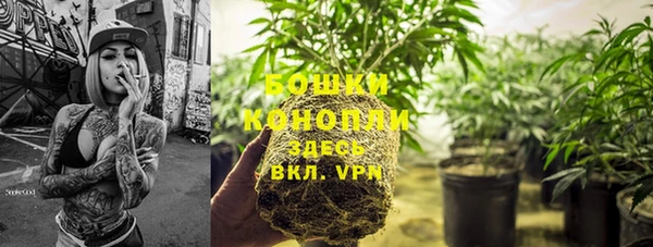 a pvp Аркадак