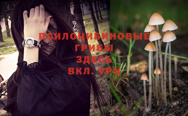 меф Армянск