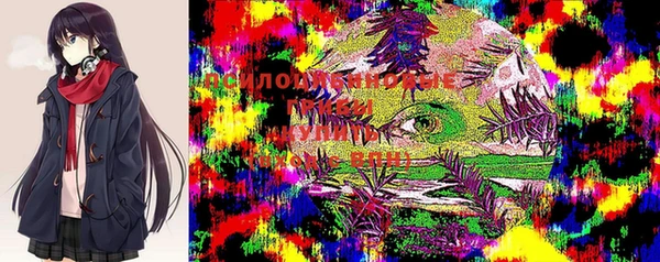 a pvp Аркадак