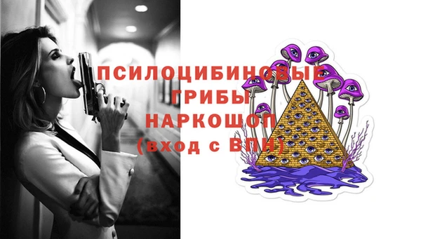 a pvp Аркадак