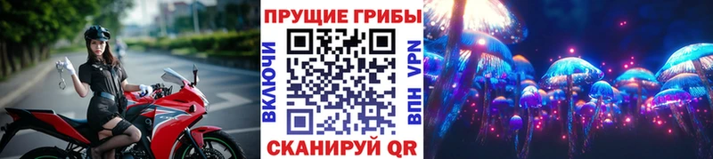 даркнет сайт  Верея  Псилоцибиновые грибы мухоморы 